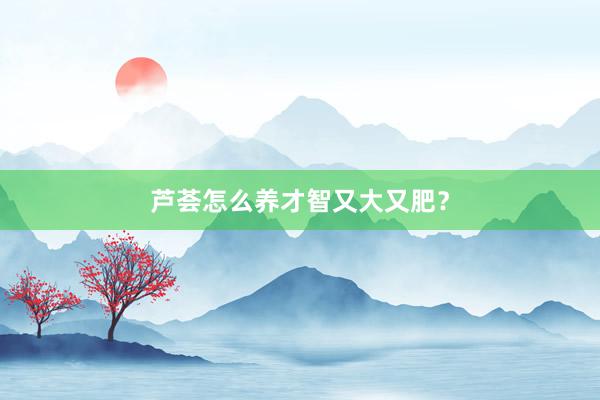 芦荟怎么养才智又大又肥?